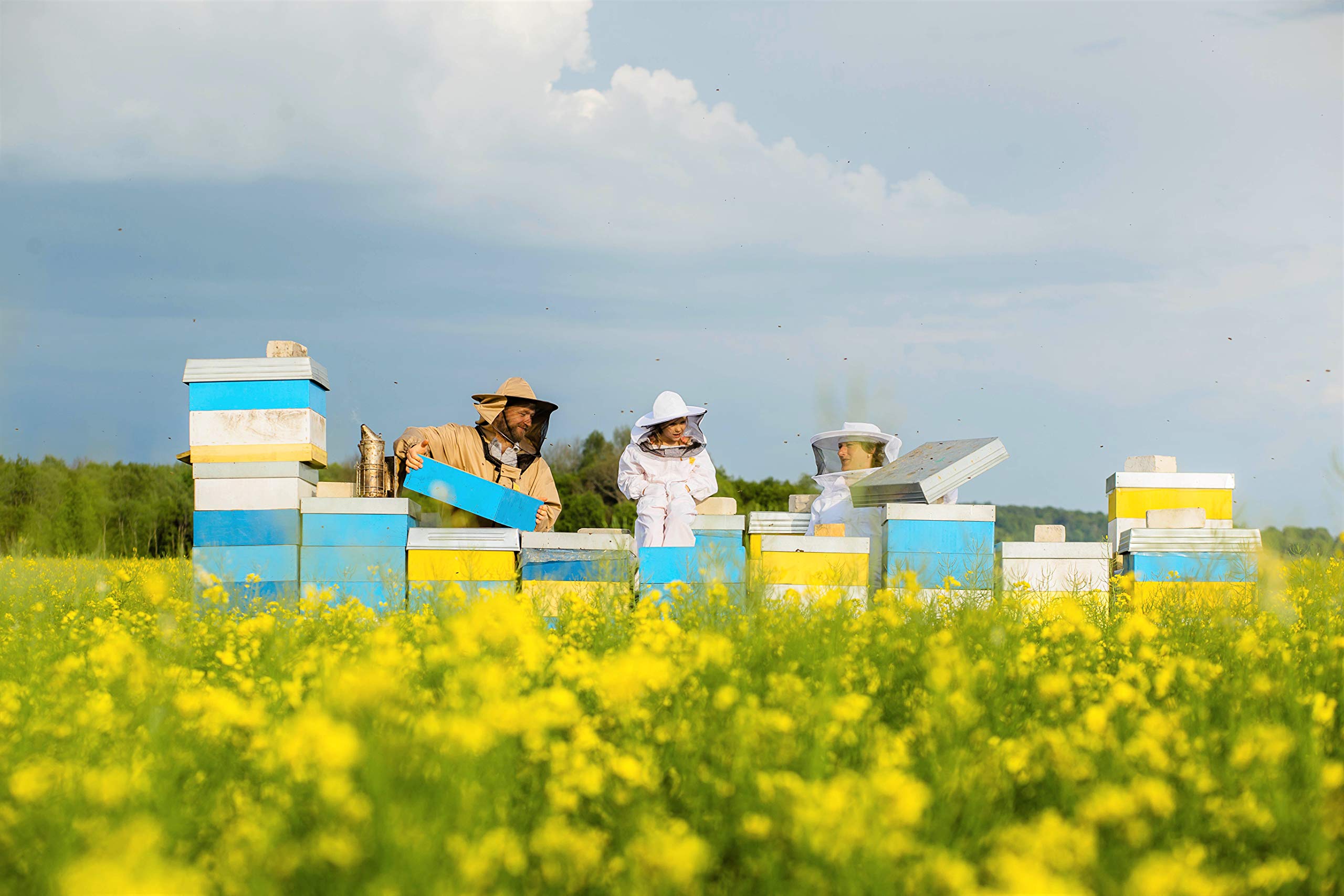 Honey & Honey(ハニー&ハニー) リンデン「生」はちみつ 500g Honey & Honey(ハニー&ハニー) リンデン「生」はちみつ 500g