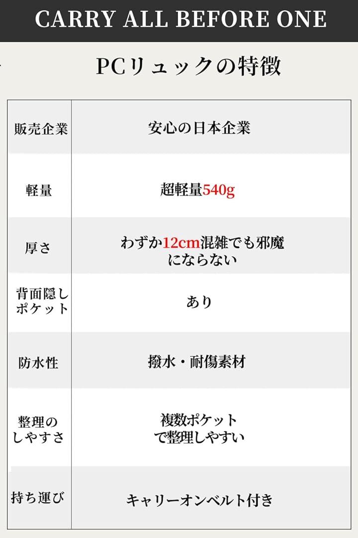PCリュック レディース ビジネスリュック PC収納 パソコンリュック A4 15インチPC対応 キャリーオン機能 背面ポケット 撥水・耐傷(グレー) PCリュック レディース ビジネスリュック PC収納 パソコンリュック A4 15インチPC対応 キャリーオン機能 背面ポケット 撥水・耐傷(グレー)