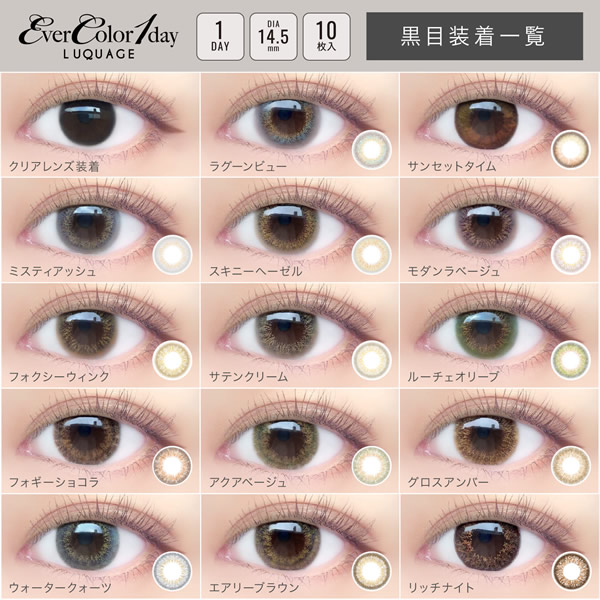 エバーカラーワンデー ルクアージュ 1箱10枚3箱セット (ゆうパケット送料無料) 新木優子