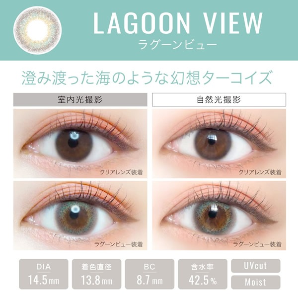 エバーカラーワンデー ルクアージュ 1箱10枚3箱セット (ゆうパケット送料無料) 新木優子