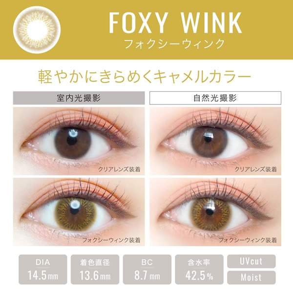 エバーカラーワンデー ルクアージュ 1箱10枚3箱セット (ゆうパケット送料無料) 新木優子