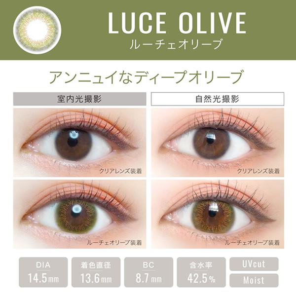 エバーカラーワンデー ルクアージュ 1箱10枚3箱セット (ゆうパケット送料無料) 新木優子