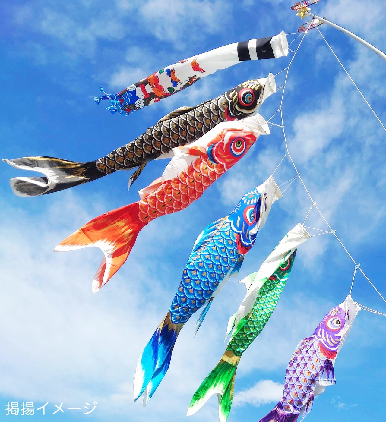 手描き 鯉のぼり こいのぼり 単品 お庭 染無し 名前染め 家紋染め 三代目金龍ﾃﾞｻﾞｲﾝ 1m 新作 秀光 限定品 特選 目玉商品 買得 人気 ランキング B0010