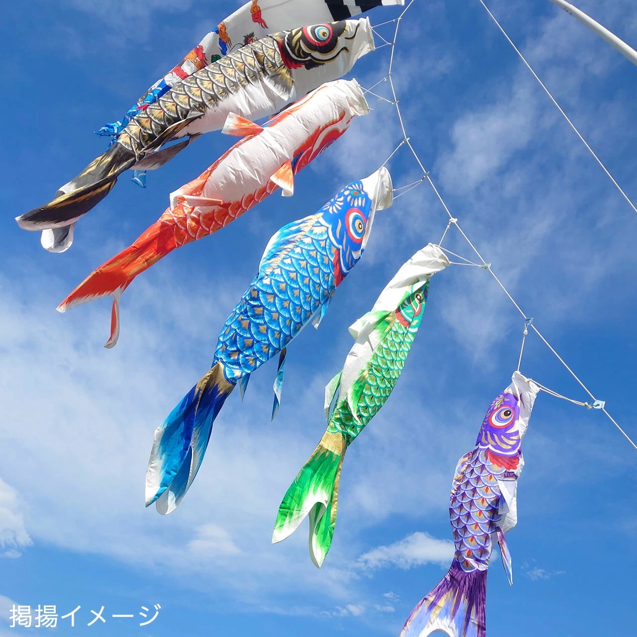 手描き 鯉のぼり こいのぼり 単品 お庭 染無し 名前染め 家紋染め 三代目金龍ﾃﾞｻﾞｲﾝ 1m 新作 秀光 限定品 特選 目玉商品 買得 人気 ランキング B0010