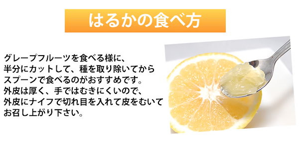 Qoo10] はるか みかん 箱込10kg（9kg＋5