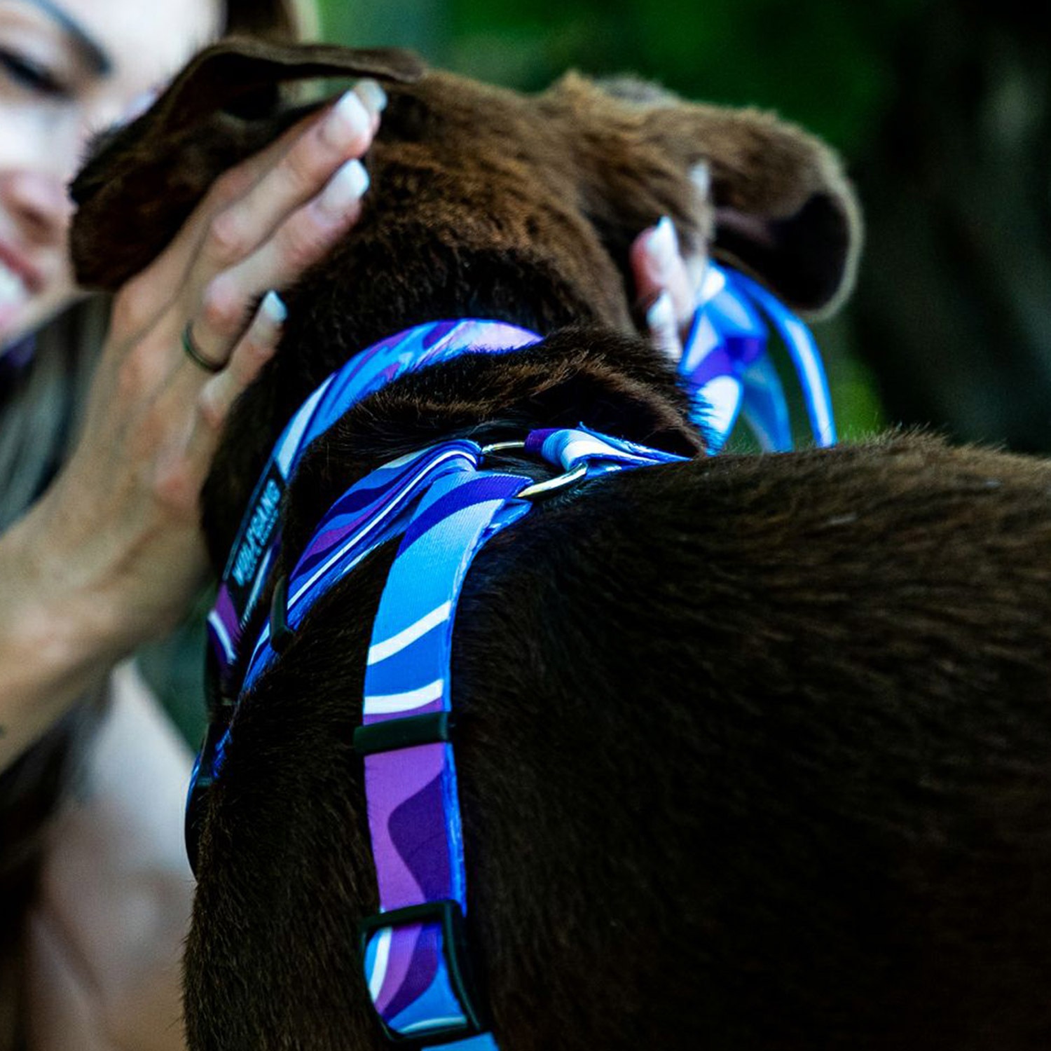 ハーネス 犬用品 小型犬 Sサイズ マン&ビースト MAN&BEAST