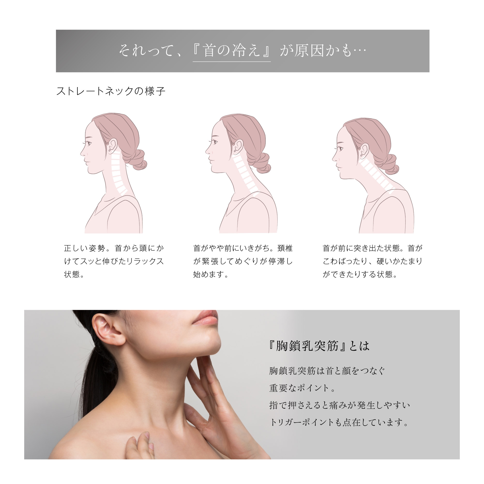 WAVEWAVE ポケットヒートネックII/EMS機能 温熱機能 首コリ ほぐす 密着フィット感 折りたたみ式 本格リラクゼーション 低周波 USB充電 癒し WAVEWAVE ポケットヒートネックII/EMS機能 温熱機能 首コリ ほぐす 密着フィット感 折りたたみ式 本格リラクゼーション 低周波 USB充電 癒し