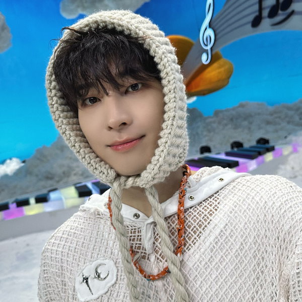 SEVENTEEN ユニバ　ラキドロ　ウォヌ seventeen セブチ ウォヌ sector17 ラキドロ ヨントン HMV