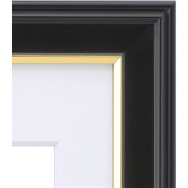 ( 黒い遺影額 ) 仏事用額 葬儀額 遺影額 寸巾 290×230mm 金 日本製 木製 光の反射を防ぐ 額 額縁 フレーム ( 黒い遺影額 ) 仏事用額 葬儀額 遺影額 寸巾 290×230mm 金 日本製 木製 光の反射を防ぐ 額 額縁 フレーム