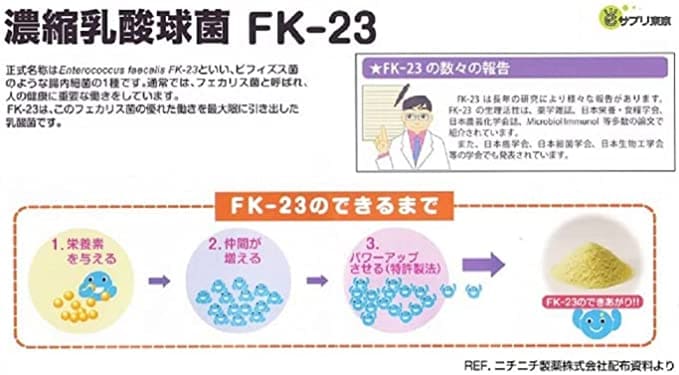 【6箱セット】プロテサンR 62包 ソフト顆粒 FK-23乳酸菌1兆個 62包 濃縮乳酸菌サプリメント ニチニチ製薬 【6箱セット】プロテサンR 62包 ソフト顆粒 FK-23乳酸菌1兆個 62包 濃縮乳酸菌サプリメント ニチニチ製薬