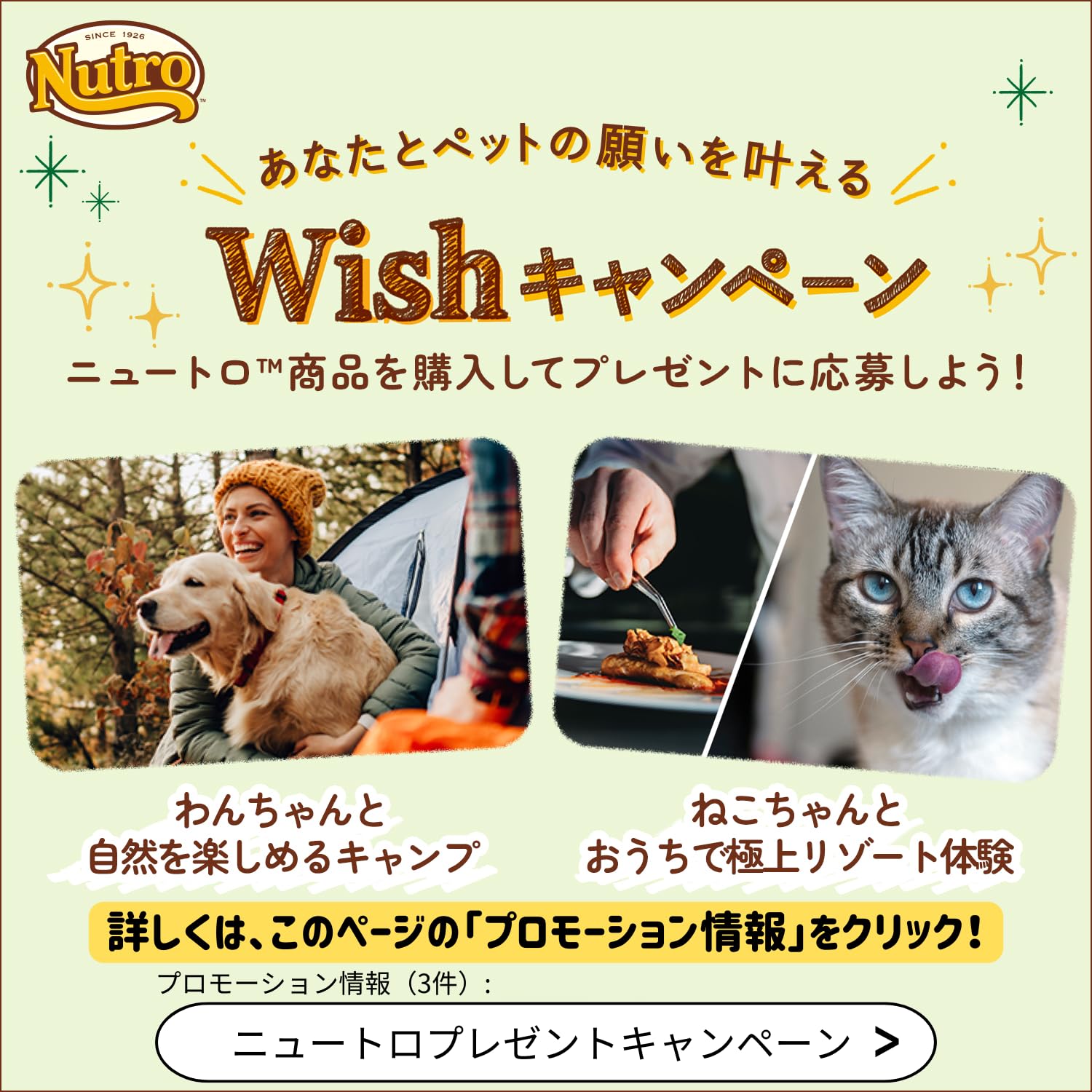 Nutro ニュートロ ナチュラル チョイス ラム&玄米 中型犬~大型犬用 成犬用 4kg ドッグフード
