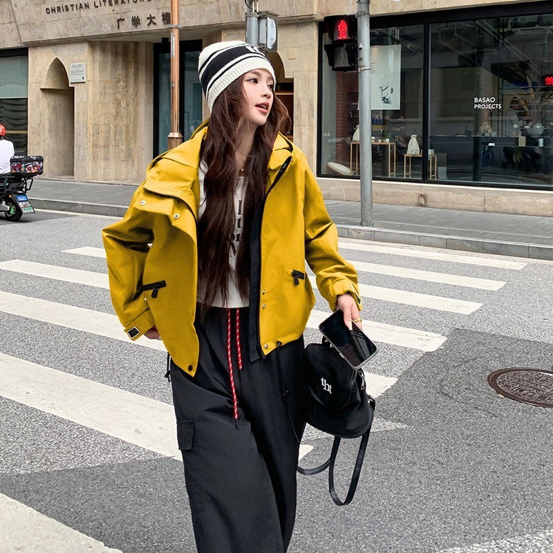 韓国カジュアルエイジングショートセクションフード付きラッシュジャケットジャケット女性2024秋の新しいシニアの感覚小さなサイズのトップス 韓国カジュアルエイジングショートセクションフード付きラッシュジャケットジャケット女性2024秋の新しいシニアの感覚小さなサイズのトップス