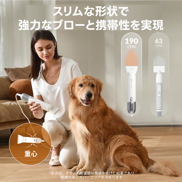 元値18,900円 Jellyfish ペット用ドライヤー 620W