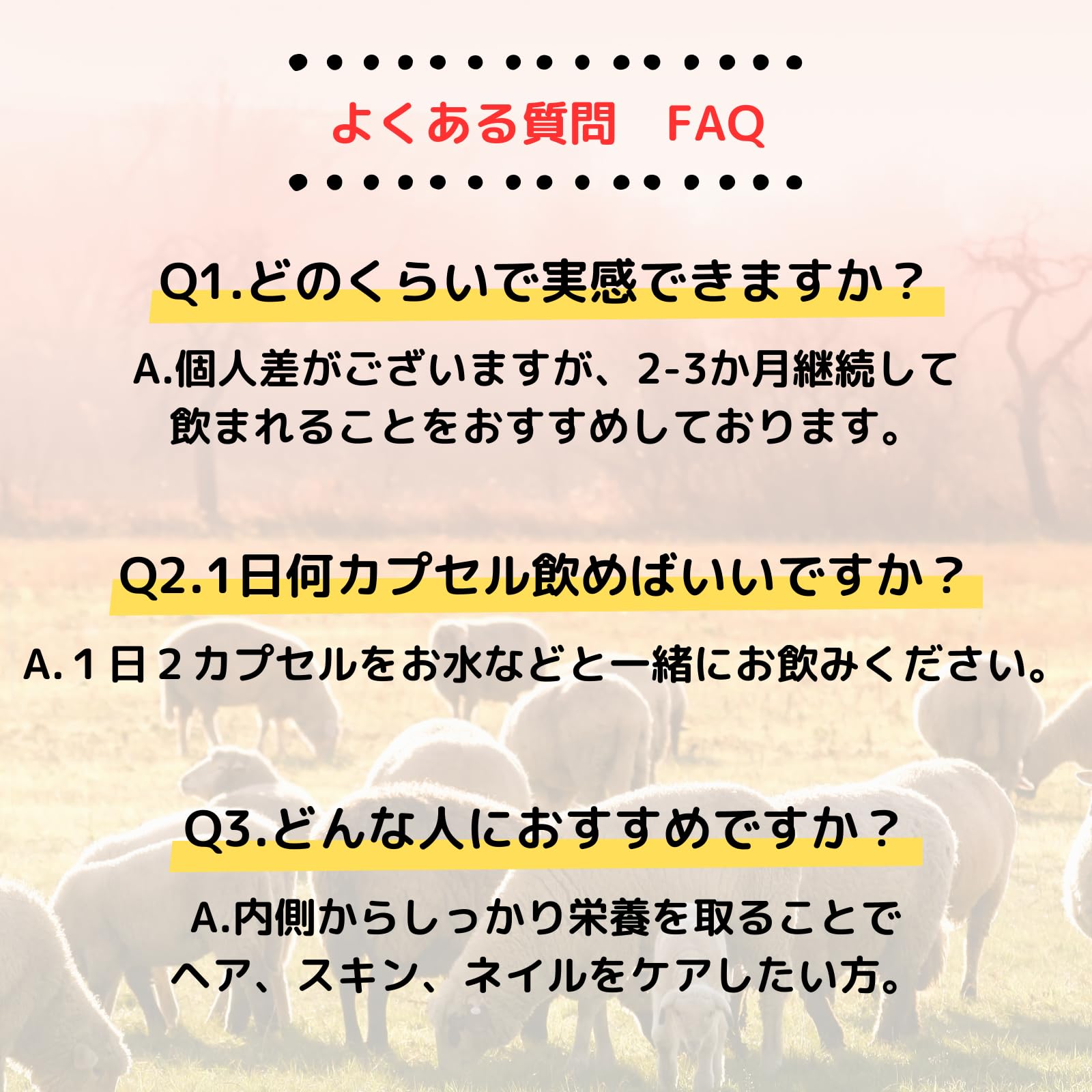TRIGOODS NOMKERA 飲む活性ケラチン 60カプセル入り