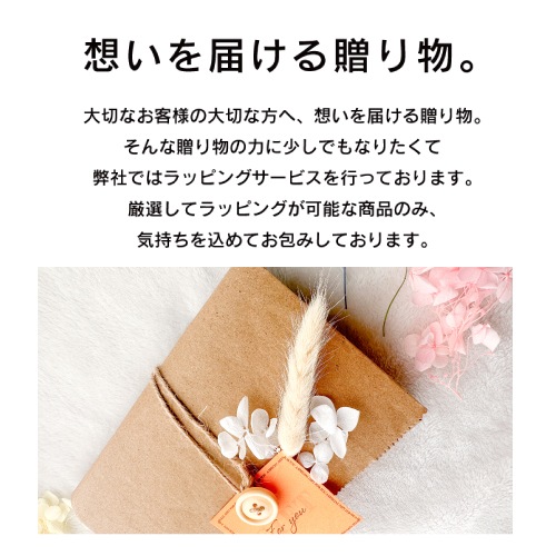 【GIFT】ミルボン グローバルミルボン エンハンシング ビバシティ エッセンス 60ml【ラッピング込み】 (global milbon 育毛ケア 頭皮 美容液 潤い 美容室 美 【GIFT】ミルボン グローバルミルボン エンハンシング ビバシティ エッセンス 60ml【ラッピング込み】 (global milbon 育毛ケア 頭皮 美容液 潤い 美容室 美