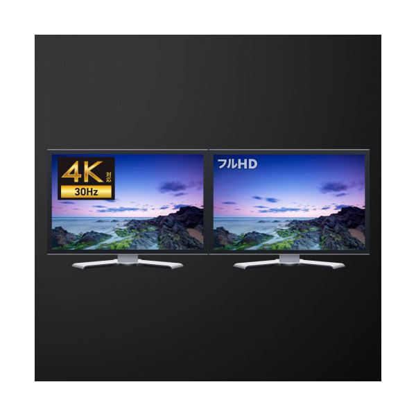 サンワサプライ USB-HDMIディスプレイアダプタ 4K対応 2画面出力 USB-CVU3HD5