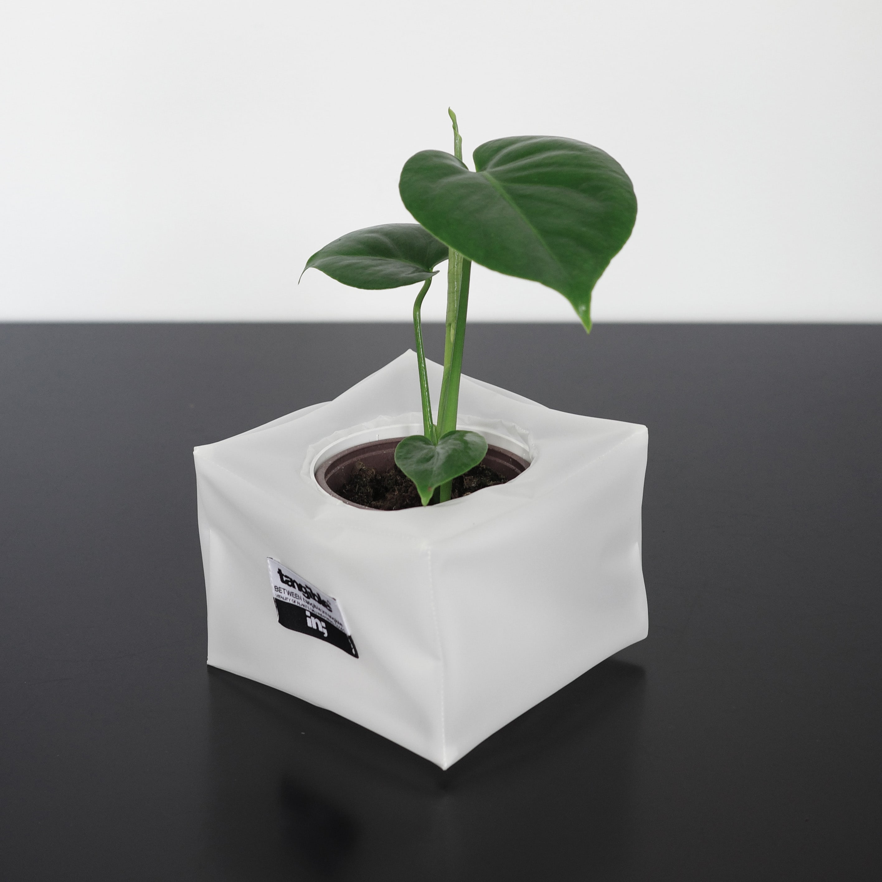 Qoo10] intangible 植木鉢カバー 鉢カバー 半透明 フロスト