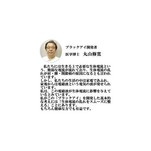 丸山式コイル ブラックアイ６個２箱セット 貼り替えシール60枚付き 電磁波防止 シート 電磁波対策 電波対策 電磁波カット 電磁波防止グッズ 電磁波カット