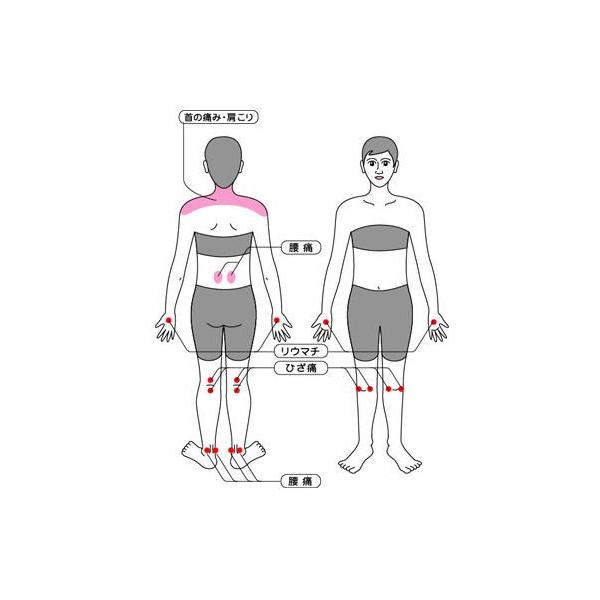 丸山式コイル ブラックアイ６個２箱セット 貼り替えシール60枚付き 電磁波防止 シート 電磁波対策 電波対策 電磁波カット 電磁波防止グッズ 電磁波カット
