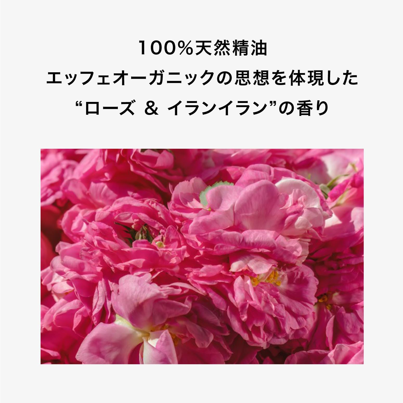 F organics(エッフェオーガニック) ディープモイスチャー クレンジングクリーム 150g クレンジング メイク落とし COSMOS ORGANIC認証取得 オーガニック