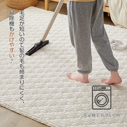 CHOSHOME カーペット ラグ 極厚25mm ラグマット 1.5畳 絨毯 厚手 ラグ 滑り止め 防音 ふわっと手触り 撥水加工 北欧 洗える フランネルラグ 床暖房 ホットカーペット対応 無地 シ