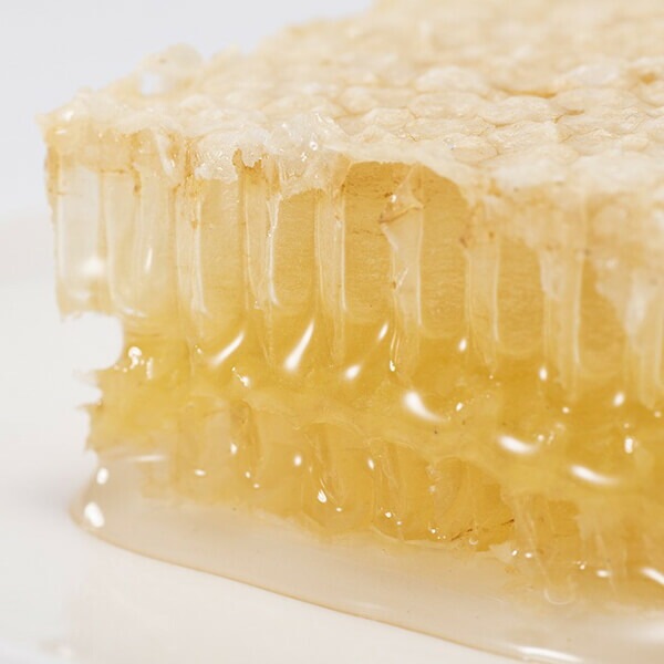 国産コームハニーアカシア 100g 3個セット 荻原養蜂園 国産コームハニーアカシア 100g 3個セット 荻原養蜂園