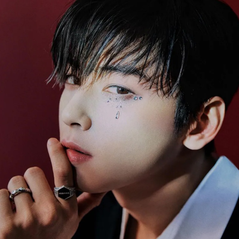 [ホシ チャウヌ I.M 着用] JAMES 177　韓国 アクセサリー リング