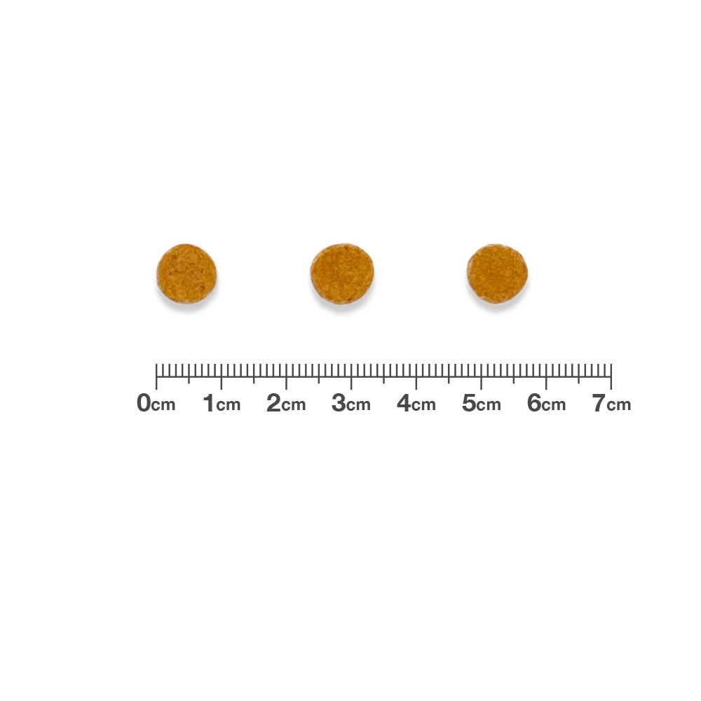 【2袋セット】ベッツワンベテリナリー 犬用 食物アレルギーケア 加水分解プロテイン ライト 小粒 1kg 【2袋セット】ベッツワンベテリナリー 犬用 食物アレルギーケア 加水分解プロテイン ライト 小粒 1kg