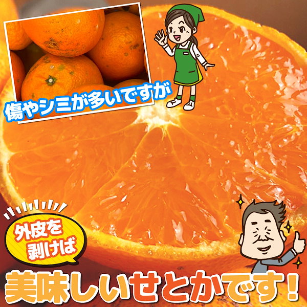 iPad - 売約済み みかん神様 アイアムミカン - かどや