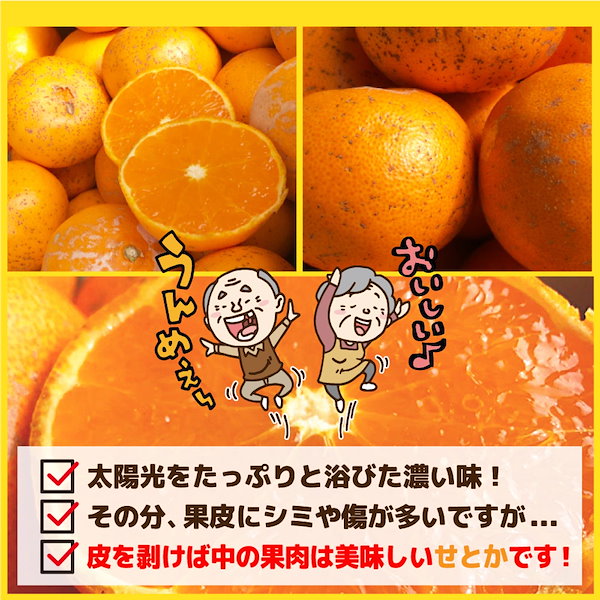 トム　　　せとか Qoo10] みかん せとか （50ケース限定 週末特