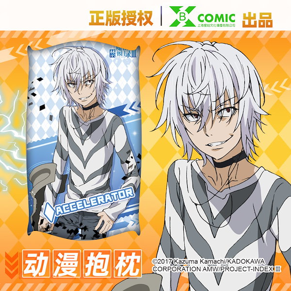 定価10万白頭山 写真集（大型）岩橋崇至(撮影)