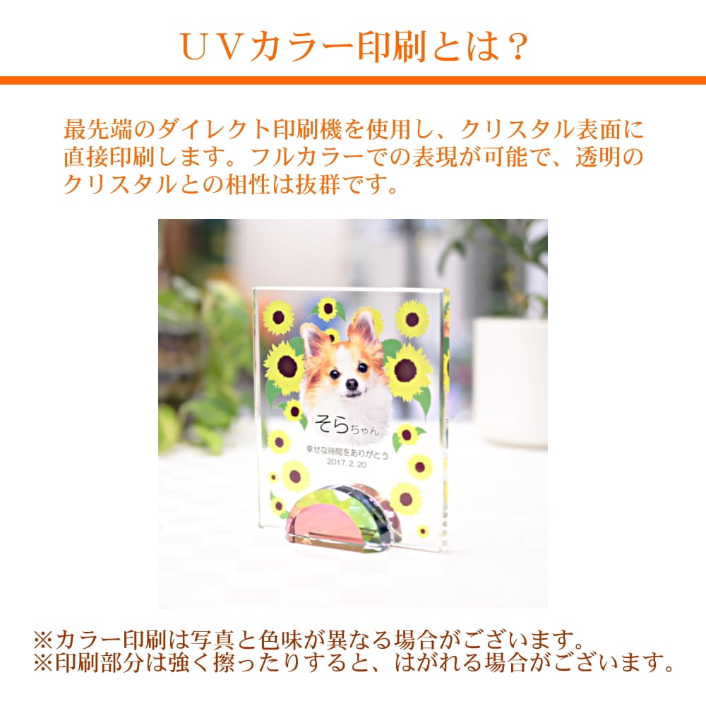 かわいい ペットメモリアル クリスタル オーバル形(大)kp-32u フォトスタンド 写真 名入れ ウェルカム記念 メモリアルグッズ オーダーメイド 誕生日 記念日 思い出 犬 猫 うさぎ インコ かわいい ペットメモリアル クリスタル オーバル形(大)kp-32u フォトスタンド 写真 名入れ ウェルカム記念 メモリアルグッズ オーダーメイド 誕生日 記念日 思い出 犬 猫 うさぎ インコ