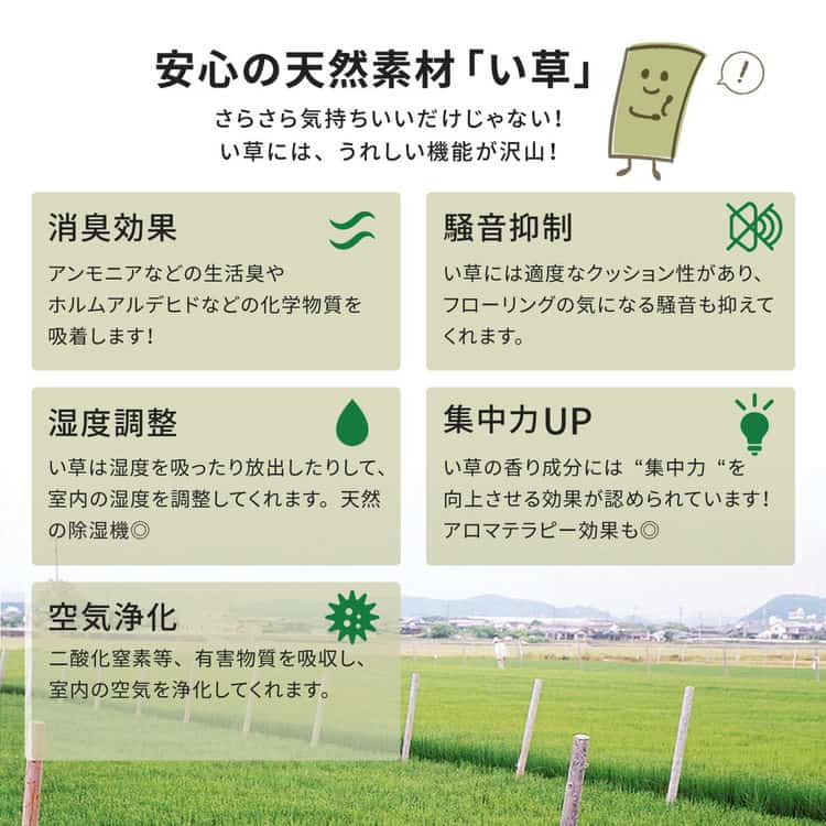 い草上敷 柳川 (やながわ) 団地間 4.5帖 4.5畳 双目織 お手頃 リーズナブル 畳の保護 北海道追加送料 沖縄離島はお届け不可 メーカーより直送