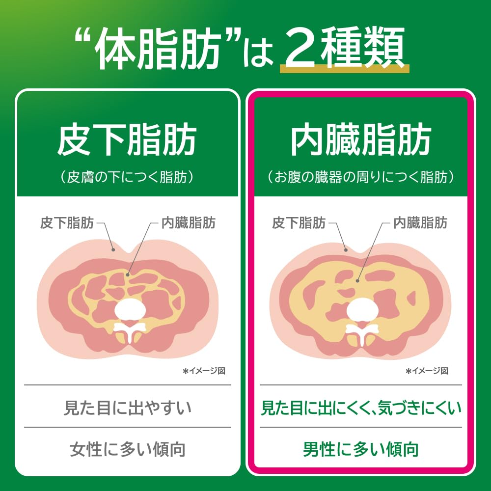[特保] キリン ヘルシア 緑茶 うまみ贅沢仕立て 500ml 24本 ペットボトル お茶 無糖 内臓脂肪を減らすのを助ける