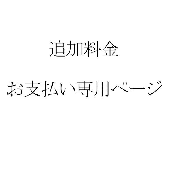 Qoo10] 追加料金 再発料金 お支払い専用ページ