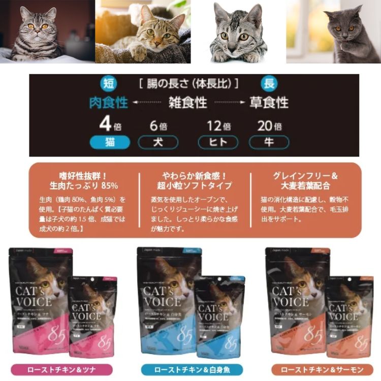 3個セット ヴォイス キャットヴォイス ローストチキン&ツナ 300g voice VOICE キャットフード 穀物不使用 生肉使用 大麦若葉 毛玉の排出 セミウェット 猫用一般食 3個セット ヴォイス キャットヴォイス ローストチキン&ツナ 300g voice VOICE キャットフード 穀物不使用 生肉使用 大麦若葉 毛玉の排出 セミウェット 猫用一般食