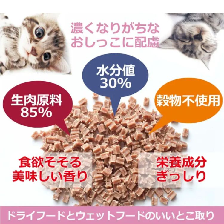 3個セット ヴォイス キャットヴォイス ローストチキン&ツナ 300g voice VOICE キャットフード 穀物不使用 生肉使用 大麦若葉 毛玉の排出 セミウェット 猫用一般食 3個セット ヴォイス キャットヴォイス ローストチキン&ツナ 300g voice VOICE キャットフード 穀物不使用 生肉使用 大麦若葉 毛玉の排出 セミウェット 猫用一般食