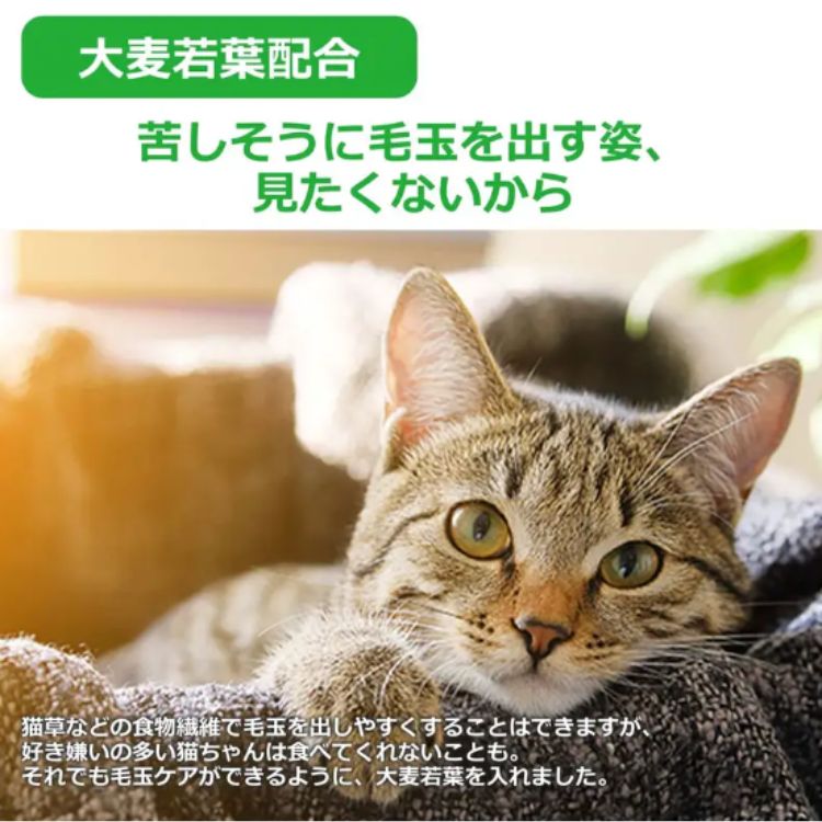 3個セット ヴォイス キャットヴォイス ローストチキン&ツナ 300g voice VOICE キャットフード 穀物不使用 生肉使用 大麦若葉 毛玉の排出 セミウェット 猫用一般食 3個セット ヴォイス キャットヴォイス ローストチキン&ツナ 300g voice VOICE キャットフード 穀物不使用 生肉使用 大麦若葉 毛玉の排出 セミウェット 猫用一般食