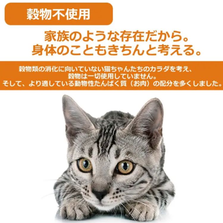 3個セット ヴォイス キャットヴォイス ローストチキン&ツナ 300g voice VOICE キャットフード 穀物不使用 生肉使用 大麦若葉 毛玉の排出 セミウェット 猫用一般食 3個セット ヴォイス キャットヴォイス ローストチキン&ツナ 300g voice VOICE キャットフード 穀物不使用 生肉使用 大麦若葉 毛玉の排出 セミウェット 猫用一般食