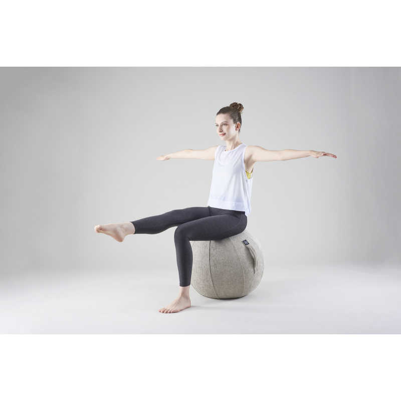 アルインコ　バランスボール シェリア(55cm/) サンドベージュ　MVS355