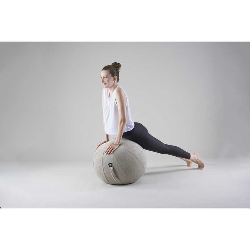 アルインコ　バランスボール シェリア(55cm/) サンドベージュ　MVS355