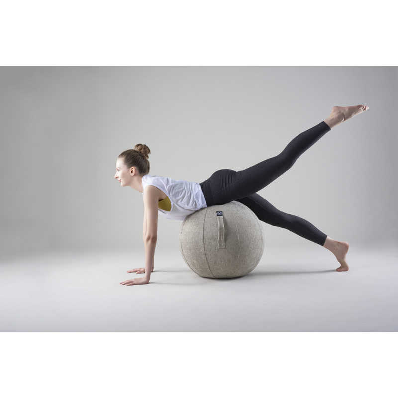 アルインコ　バランスボール シェリア(55cm/) サンドベージュ　MVS355