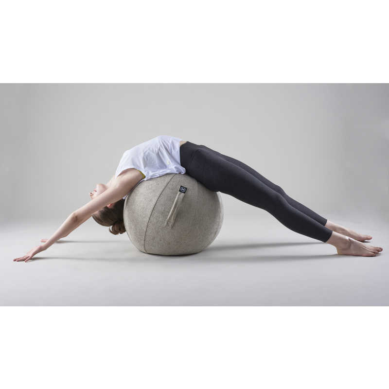 アルインコ　バランスボール シェリア(55cm/) サンドベージュ　MVS355