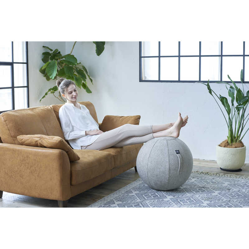 アルインコ　バランスボール シェリア(55cm/) サンドベージュ　MVS355