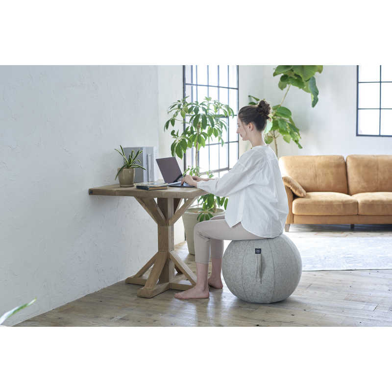 アルインコ　バランスボール シェリア(55cm/) サンドベージュ　MVS355