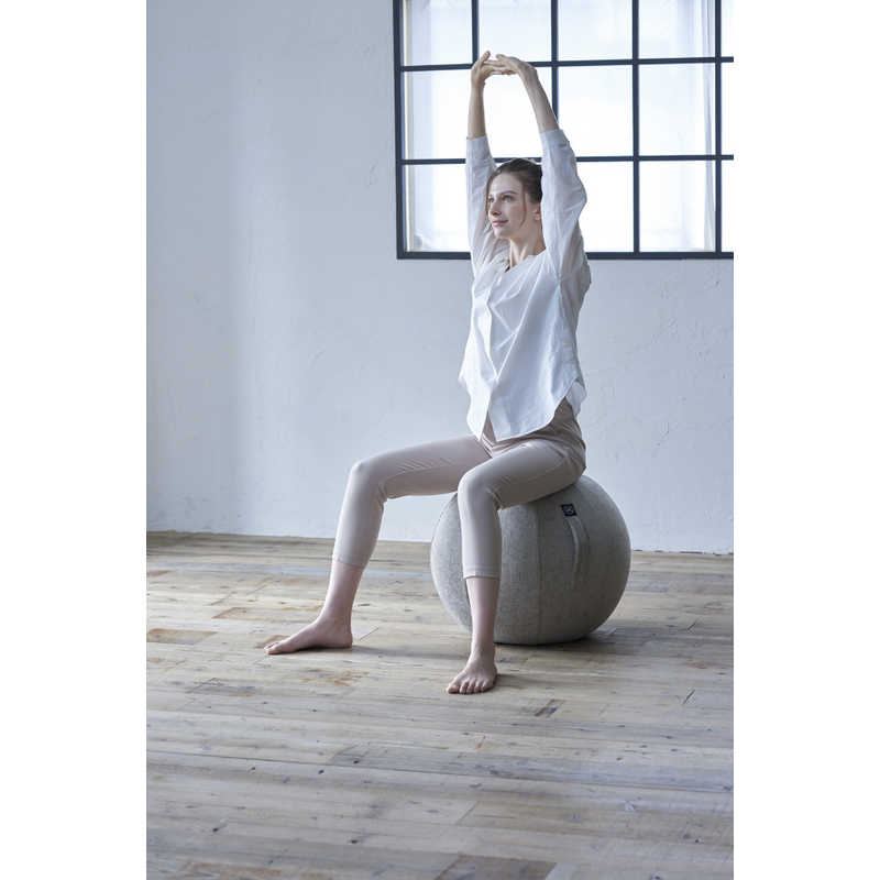 アルインコ　バランスボール シェリア(55cm/) サンドベージュ　MVS355