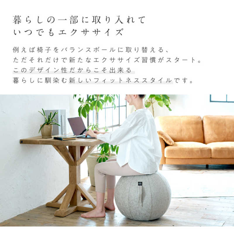 アルインコ　バランスボール シェリア(55cm/) サンドベージュ　MVS355