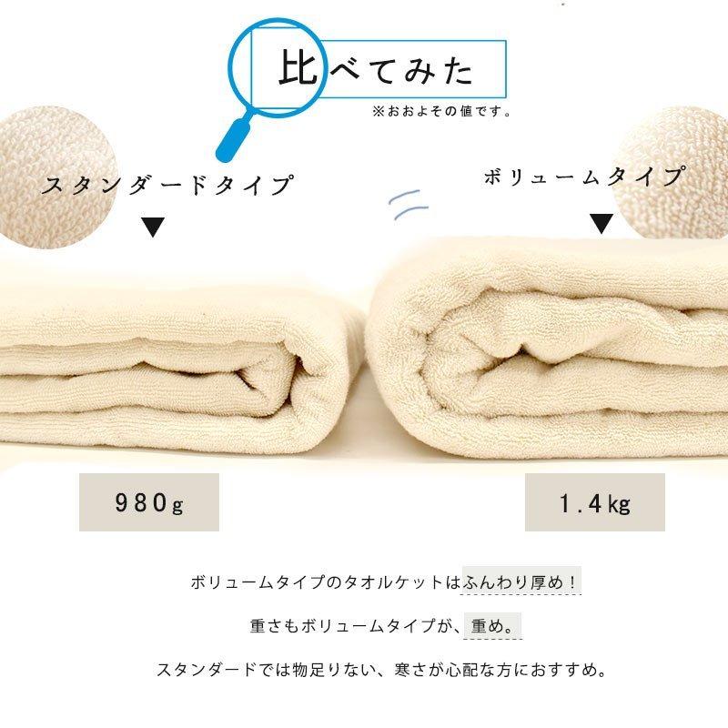 2枚組 今治 タオルケット シングル バイオ精錬加工[ケミカルフリー］ 無添加 ボリュームタイプ　5S-41-300-2