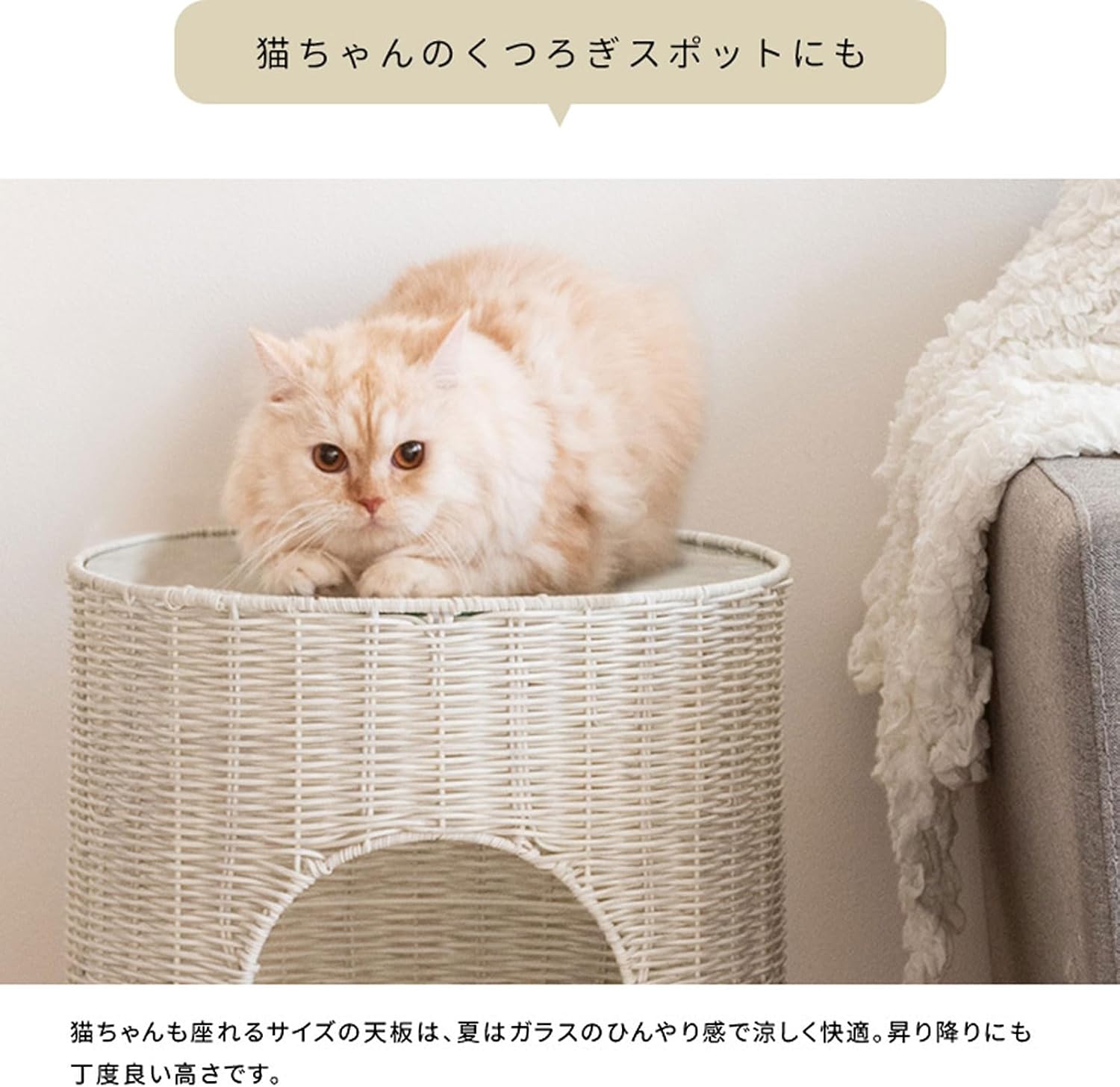 宮武製作所 サイドテーブル 猫ちぐら Pienet ピエネ サイドテーブルとしても使える樹脂製ラタンの猫ちぐら CGR-400 WH_9