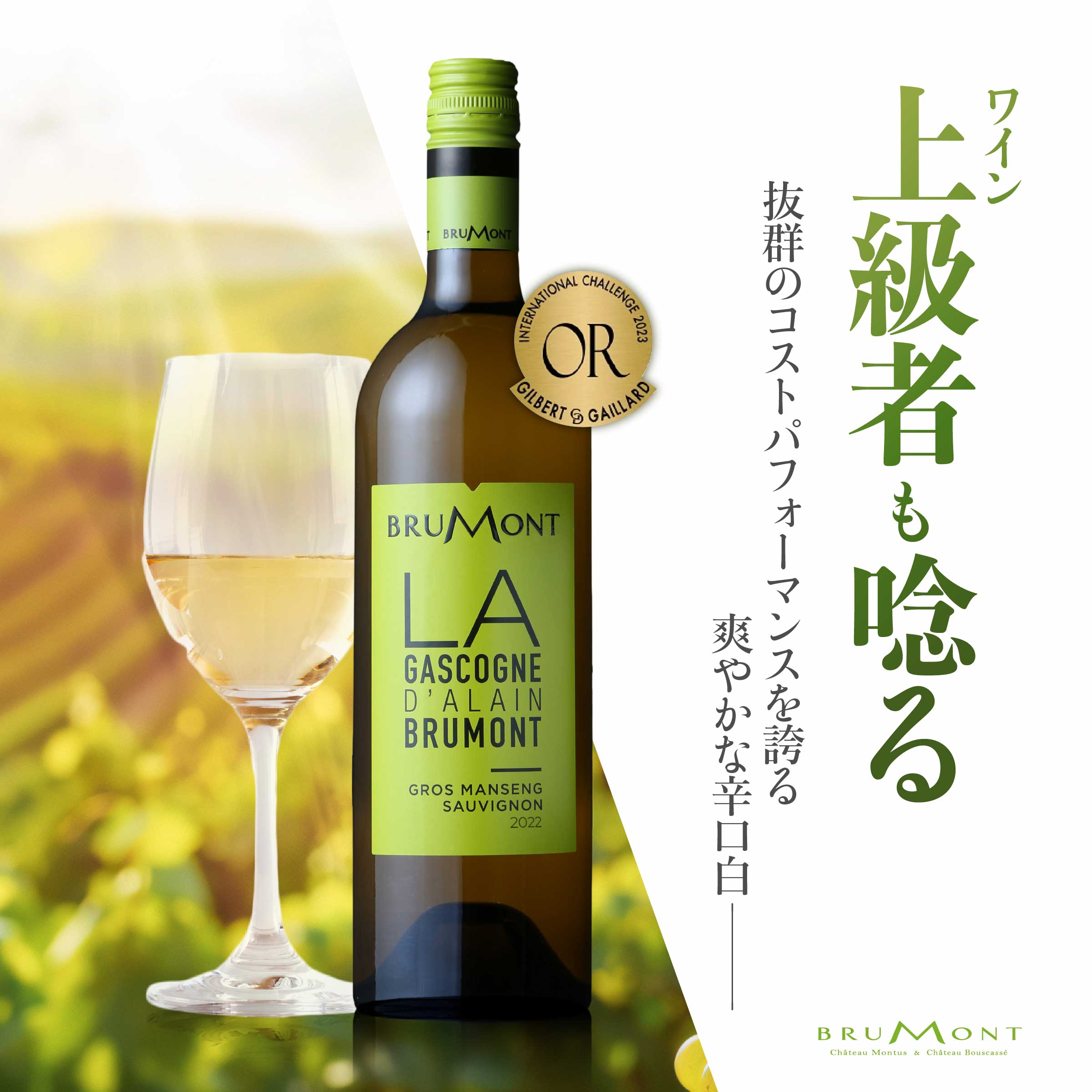 ドメーヌ・アラン・ブリュモン ガスコーニュ ブラン×12本セット 辛口 白 ワイン ドメーヌ・アラン・ブリュモン ガスコーニュ ブラン×12本セット 辛口 白 ワイン